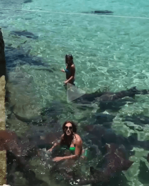 Así que la conductora de "El Gordo y la Flaca" comentó que la próxima vez que nade con tiburones, lo hará con mayor precaución.