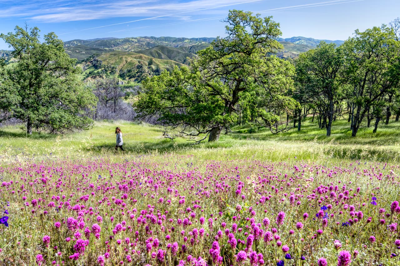 <b>Berryessa Snow Mountain, California.</b> La declaración de Barack Obama del Monumento Nacional Berryessa Snow Mountain protege 330.000 acres en el norte de California, al norte de Sacramento y la bahía de San Francisco.