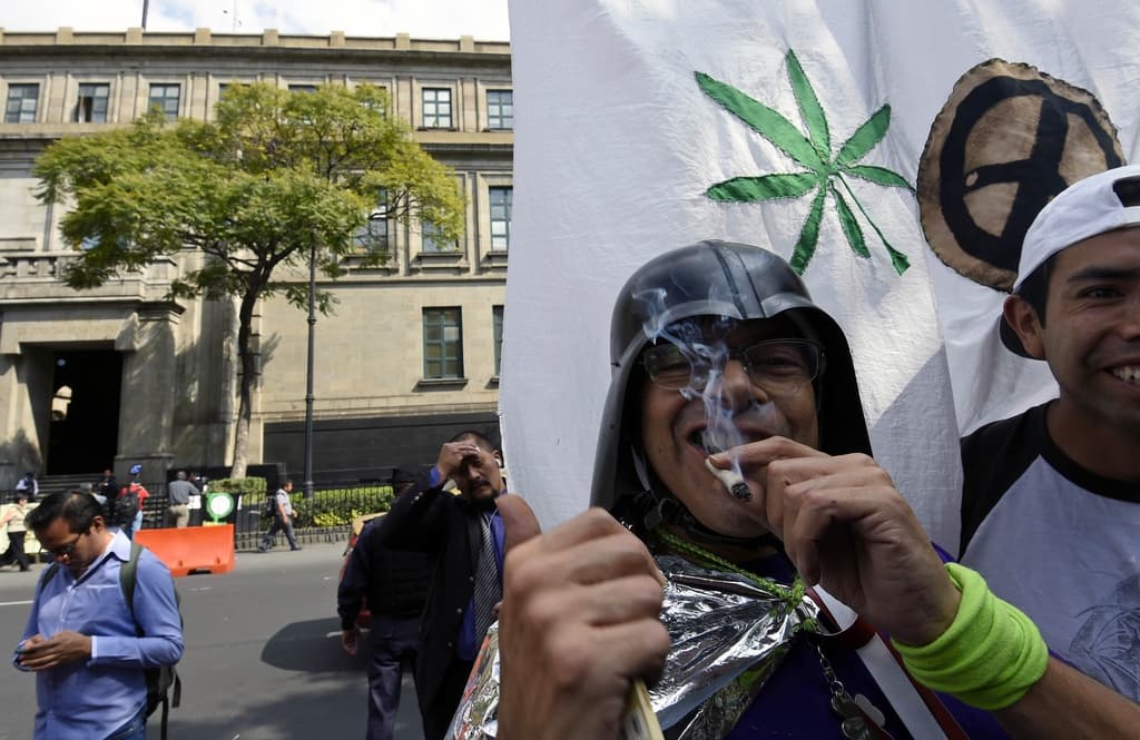 México otorga amparo para siembra y consumo recreativo de la marihuana