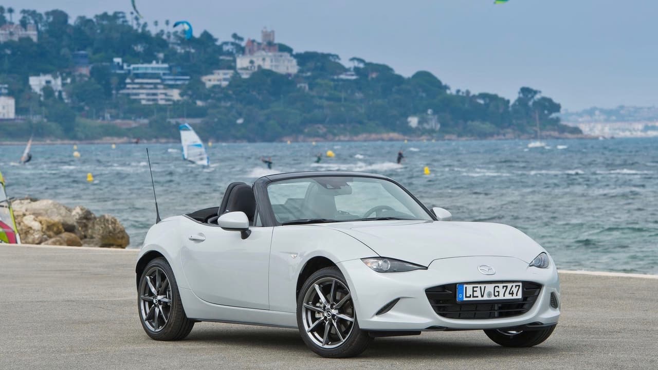 Agregó que le entregarán el auto deportivo 2019, que sólo existe en tres colores: rojo, gris y blanco, cuando vean "la tarjeta esa de que ya puedo conducir”, dijo la intérprete del tema principal de Pequeños Gigantes.