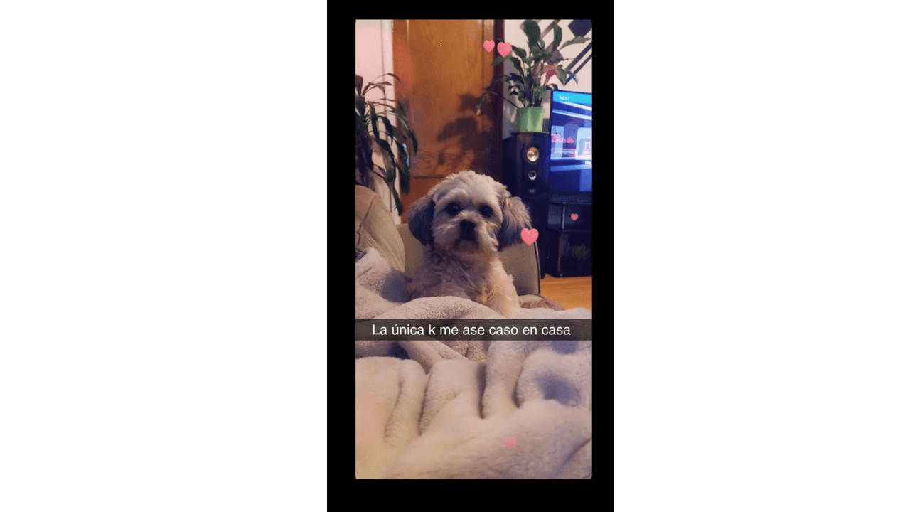 "Mi perrita Mía tiene 3 años".