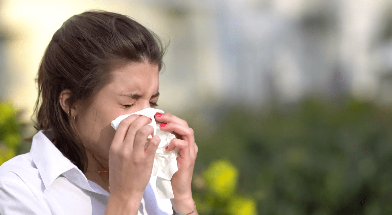 Expertos recomiendan cerrar puertas y ventanas, aspirar con equipo que tengan filtros EPA y utilizar mascarilla en el exterior para evitar inhalar este polen.