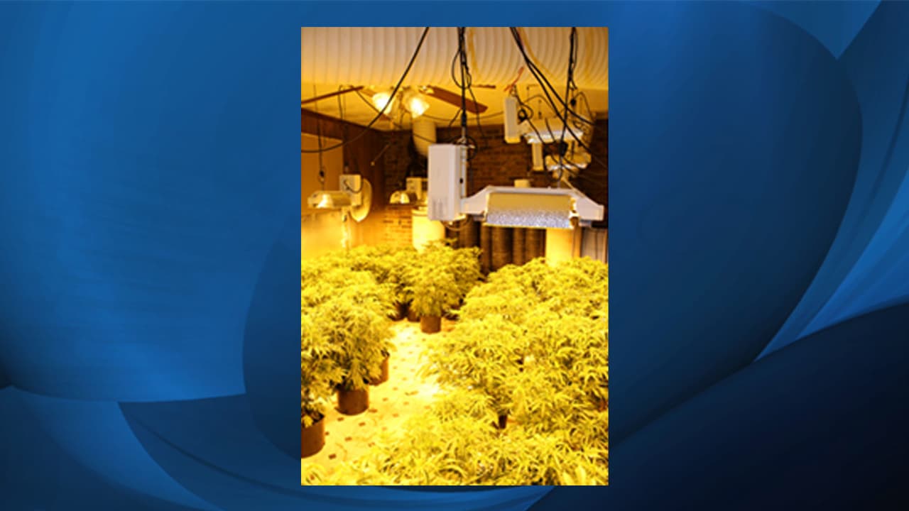 Las autoridades dicen que la operación de narcotráfico estaba vinculada a una gran organización criminal internacional que abarca el sureste del país.