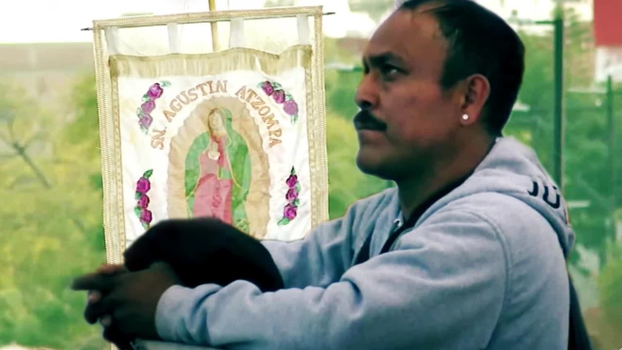 Peregrino viaja tres días para agradecerle a la Virgen de Guadalupe por permitirle volver a caminar