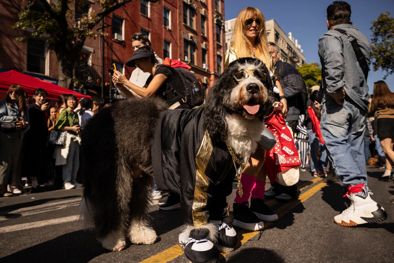 Esta fue la 
<b>edición número 34 de este desfile que se realiza cada mes de octubre</b> en Manhattan.
<br>