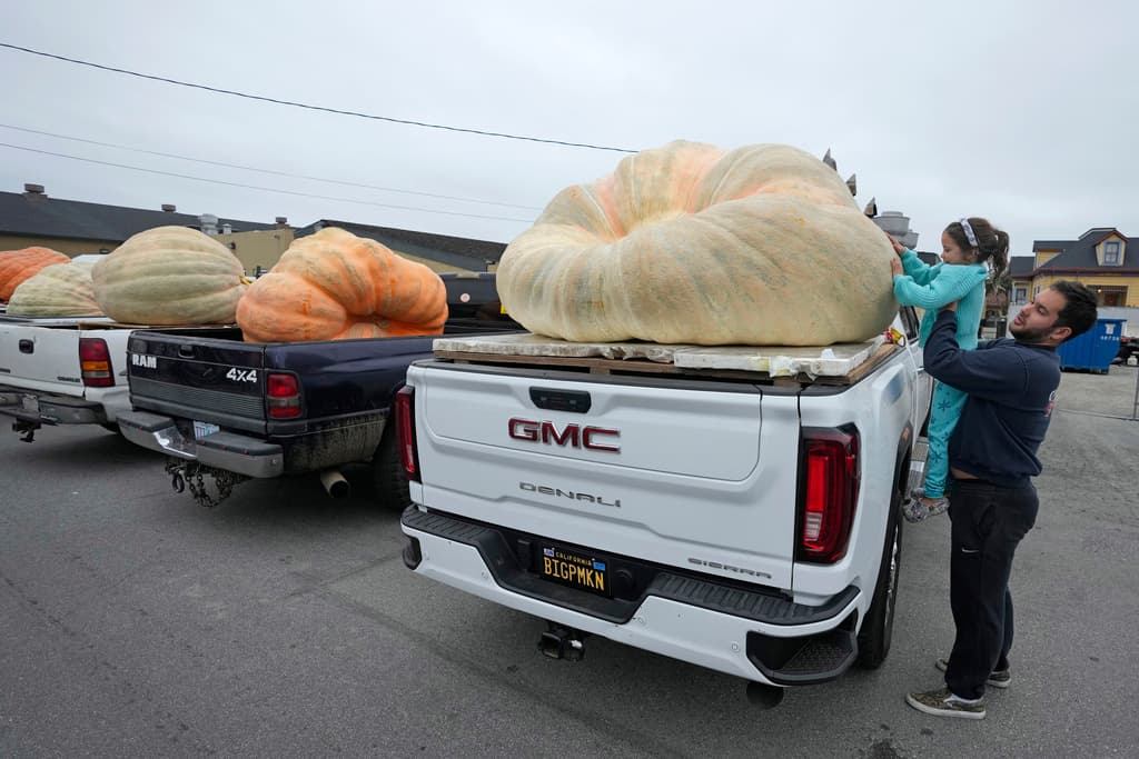 El pesaje oficial de la calabaza más grande del mundo comenzó el lunes por la mañana en el Pesaje de Calabazas del Campeonato Mundial Safeway en Half Moon Bay.
