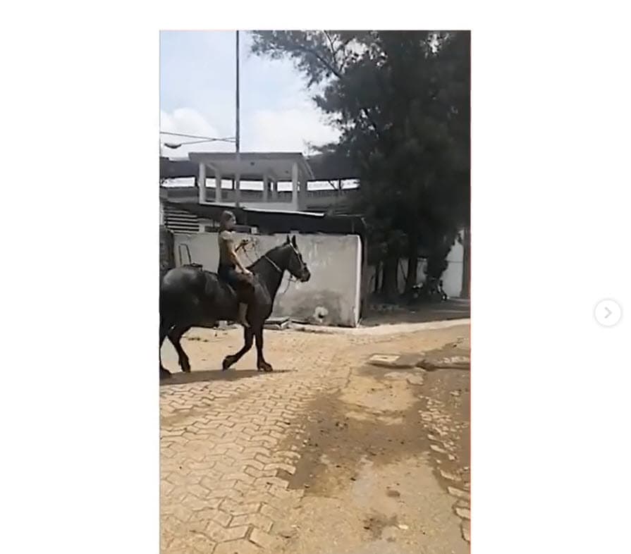 "Me subí al caballo, al principio pensé que me iba a dar un ataque de pánico, 
<b><a href="https://www.univision.com/famosos/michelle-renaud-celebra-el-tercer-cumpleanos-de-su-hijo-marcelo-y-no-falta-quien-haga-un-comentario-impropio-fotos" target="_blank">pensé en mi hijo</a></b>", contó. 
<br>