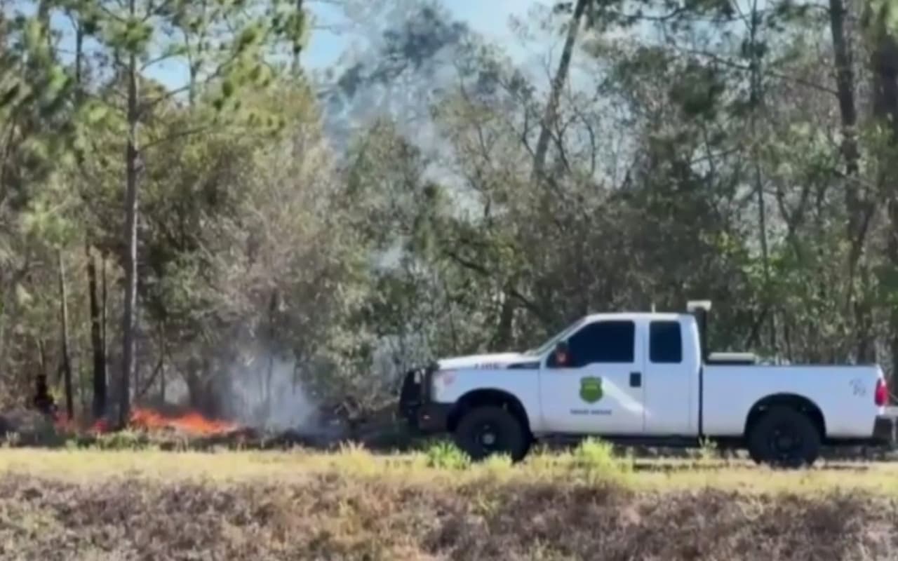 Incendio forestal en Daytona Beach causa evacuaciones y quema al menos 100 acres