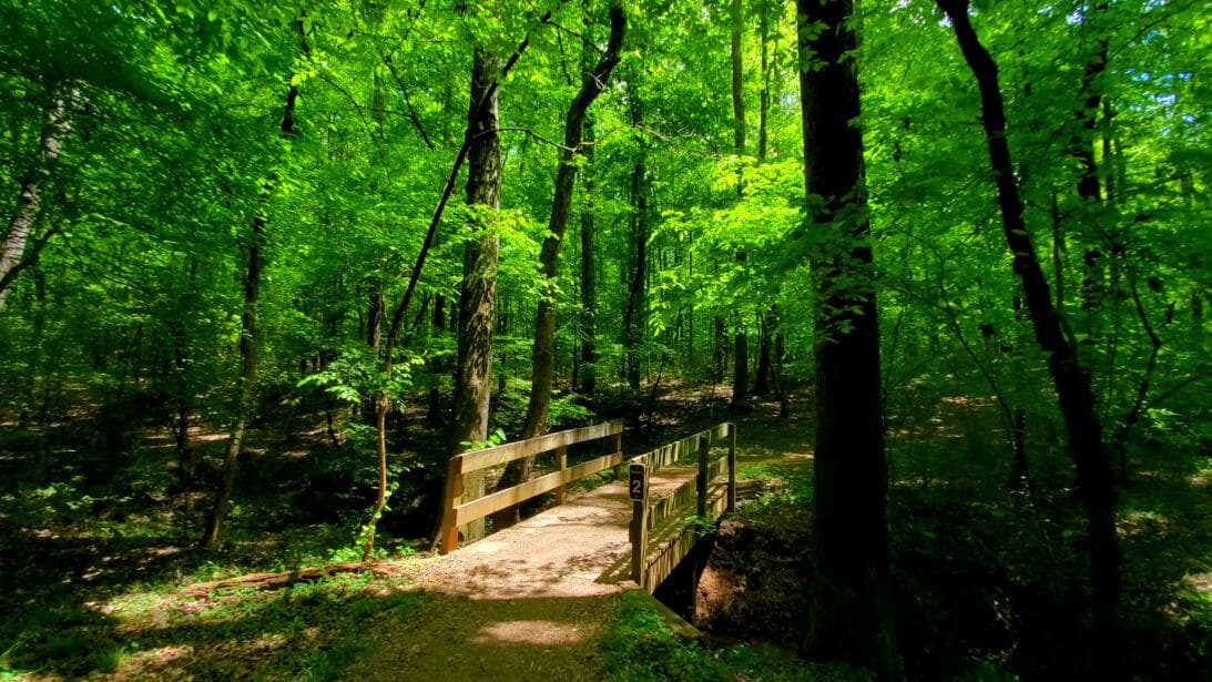 El parque cuenta con 7 millas de senderos para explorar a pie, 5 para hacerlo en bicicleta y 14 para andar a caballo.