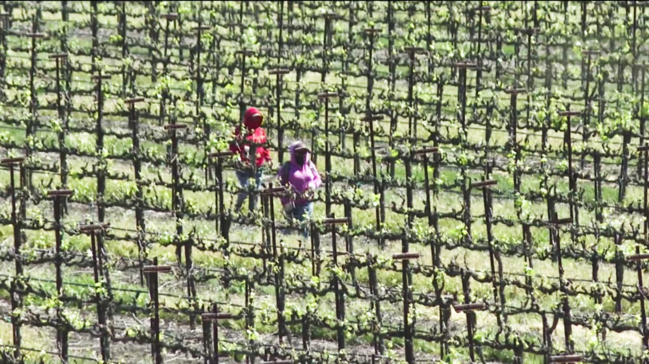 Proyecto de ley busca garantizar productos menstruales para campesinas en California