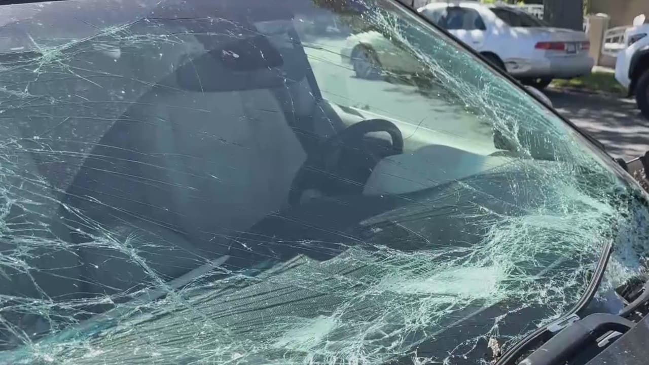 Un vehículo es aplastado por un árbol tras ser derribado por los fuertes vientos en Santa Ana