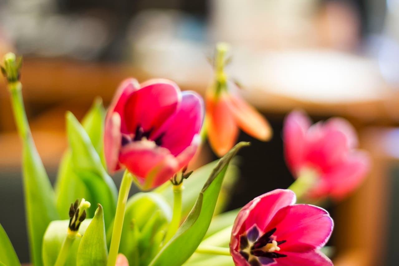 David Ríos captó lo que pasa detrás de bambalinas en Univision Austin.