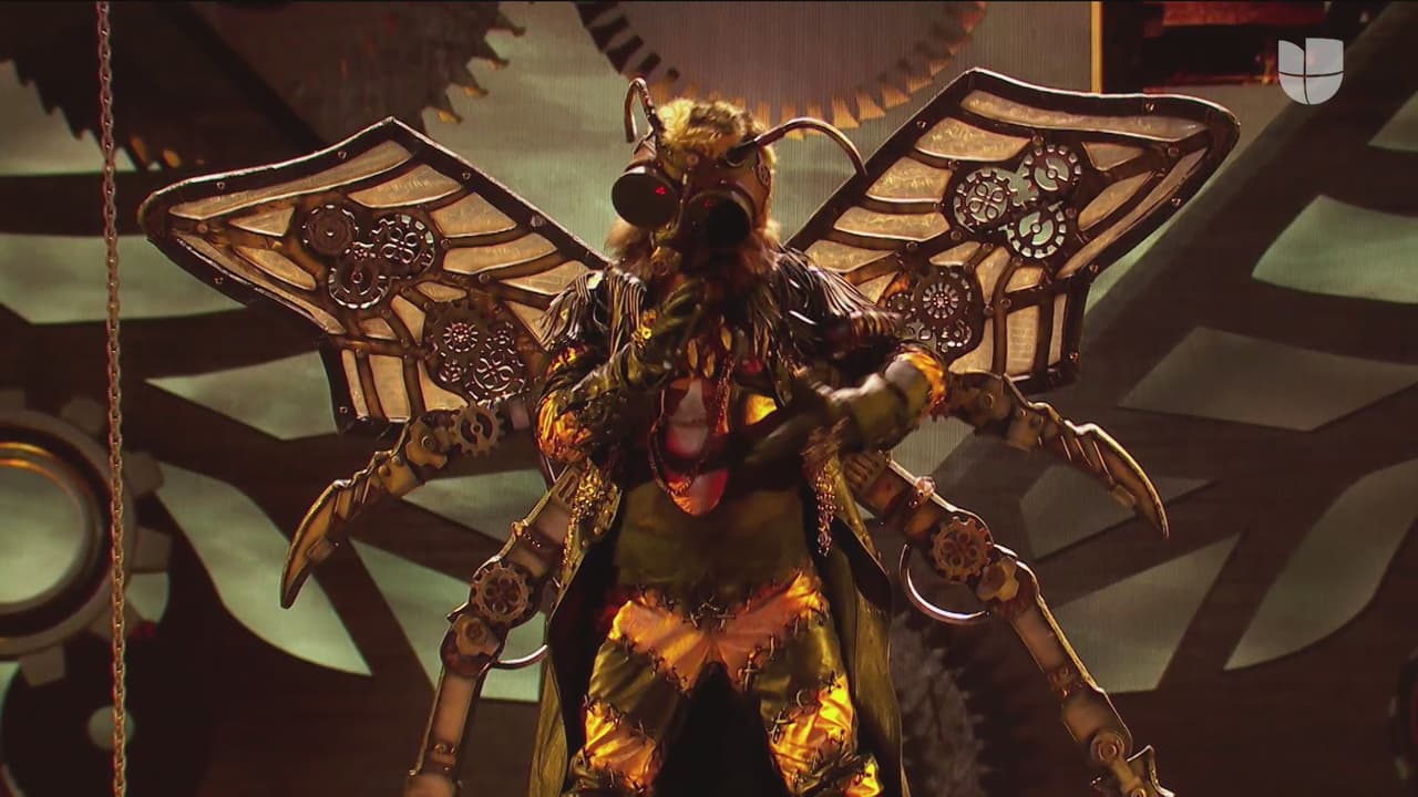 Abejorro impresionó a todos en el show por su fenomenal y detallado disfraz, pero aún y con su espectacularidad fue el segundo desenmascarado de la noche.