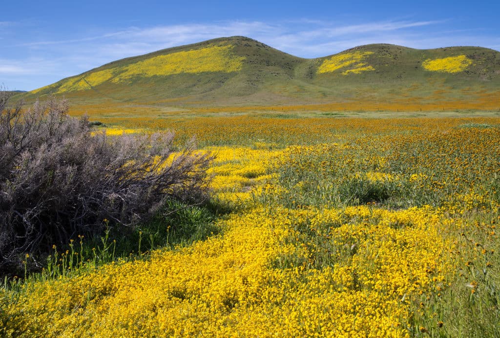Considerando que los amantes de la naturaleza deben disponer de por lo menos un día para la visita al monumento, es importante considerar las condiciones del área y los recursos con los que contarán durante su visita.