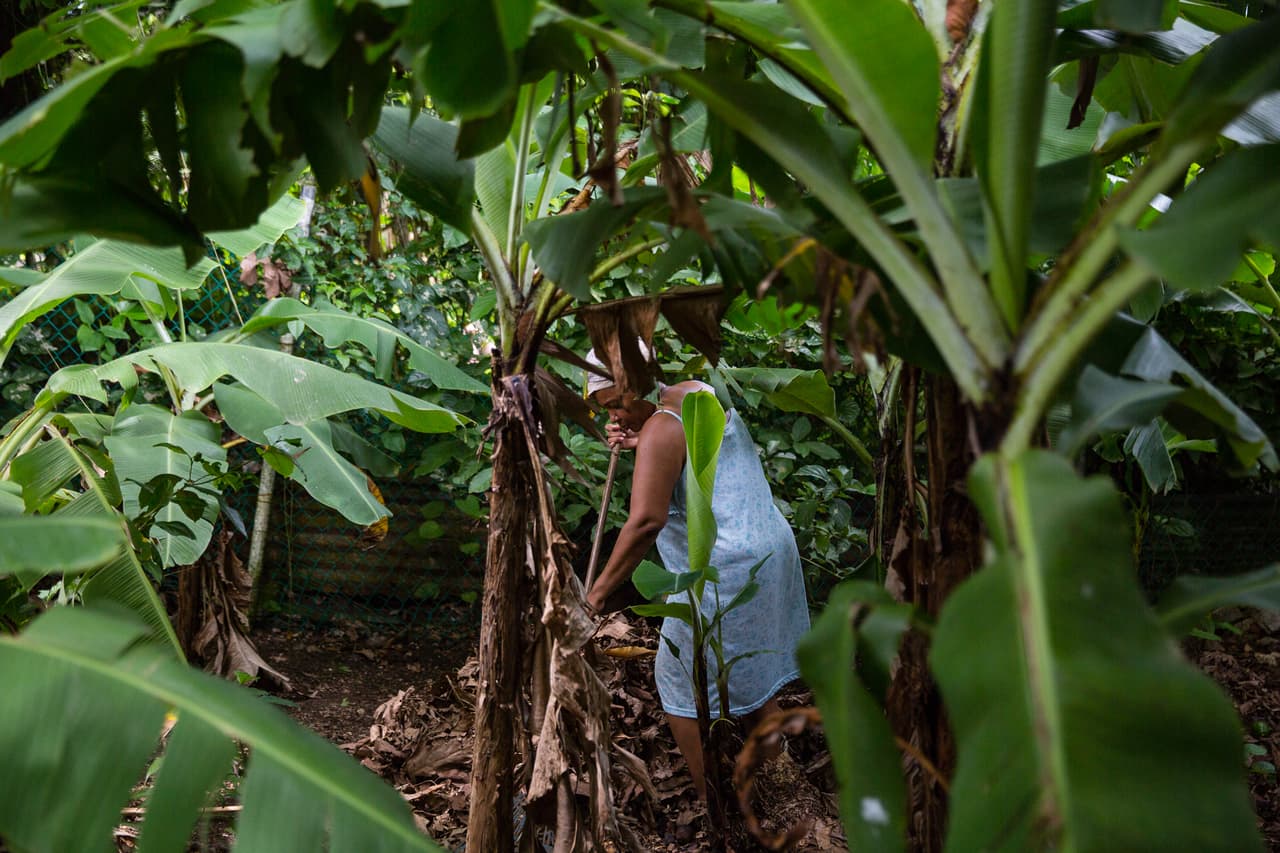 Fernández tiene 5 meses de embarazo y dice hacer todo lo posible para evitar contagiarse con zika.