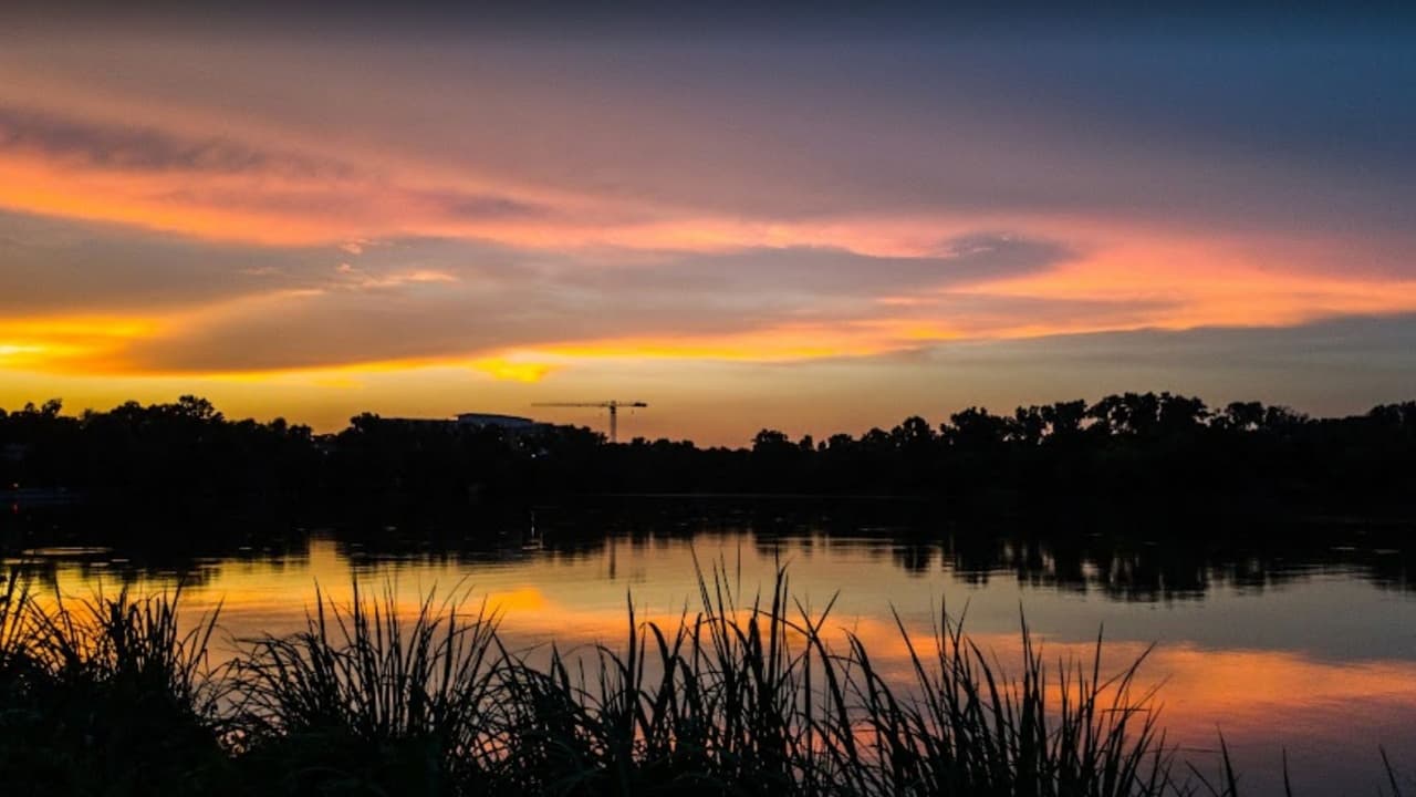 <b>White Rock Lake</b> es un lago muy frecuentado, por lo tanto han ocurrido varios ahogamientos en los últimos meses. Si visitas este lago, las autoridades piden que se use siempre un chaleco salvavidas, pues en los lagos es más difícil poder nadar o salvarse de un ahogamiento al ser aguas no controladas.
