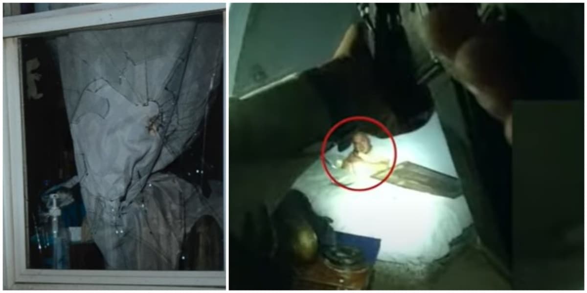 Los oficiales llegaron al lugar, el tío ya no estaba dentro de la casa. El sospechoso se encontraba dentro de una habitación independiente, desde donde amenazaba con disparar.