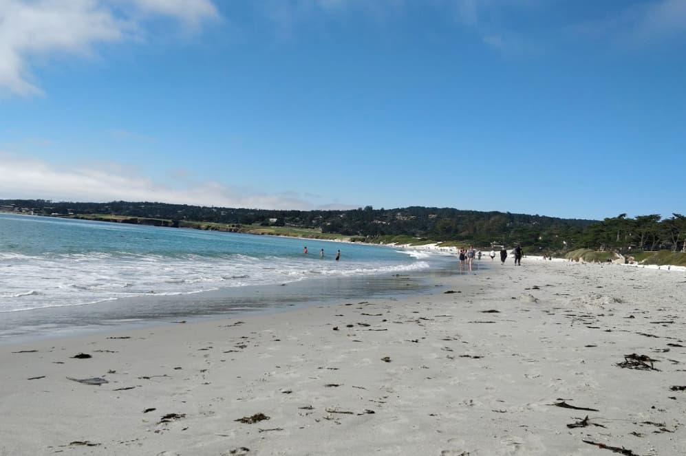 <b>Un lugar que llama a la aventura y la diversión al aire libre es lo que promete el recorrido de <a href="https://goo.gl/maps/5DKu6V9eWZpEemPd8" target="_blank">17 millas por la Península Monterey,</a> en la costa central de California</b>. La ruta te lleva por 
<a href="https://www.pebblebeach.com/17-mile-drive/" target="_blank">Pebbles Beach,</a> Carmel y Punta Lobos, playas famosas por su arena blanca y bordeadas por bosques de cipreses.