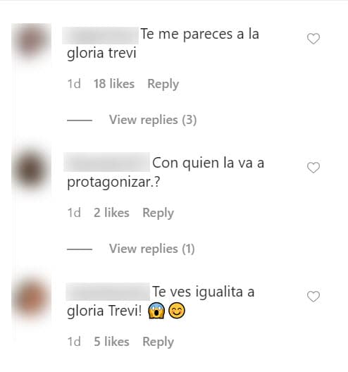 Hubo quienes la compararon con 
<b><a href="https://www.univision.com/famosos/gloria-trevi-le-retiro-todo-el-apoyo-a-su-hijo-angel-gabriel-por-una-fuerte-razon-fotos" target="_blank">Gloria Trevi</a>. </b>
<br>