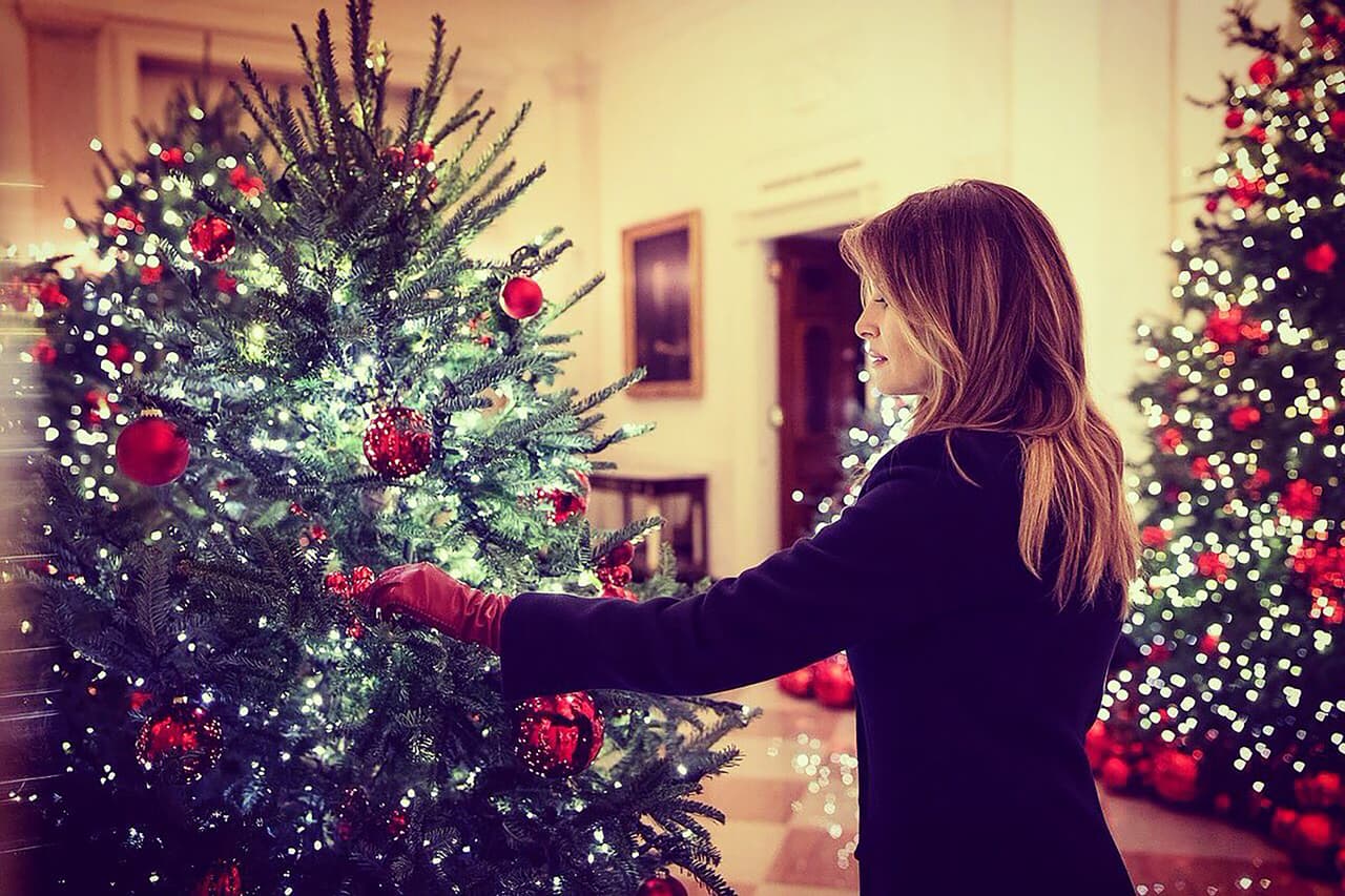 “La Casa Blanca brilla para la temporada de navidad”,
<a href="https://twitter.com/FLOTUS/status/1067060623706648576">escribió en su cuenta oficial de Twitter la primera dama Melania Trump</a>, responsable del diseño de la decoración de navidad de la residencia presidencial. El tema decorativo de este año fue denominado ‘tesoros estadounidenses", para "honrar el patrimonio único de EEUU", según se lee en un
<a href="https://www.whitehouse.gov/briefings-statements/first-lady-melania-trump-unveils-christmas-white-house-2018/">comunicado oficial sobre la decoración publicado por la Casa Blanca.</a>