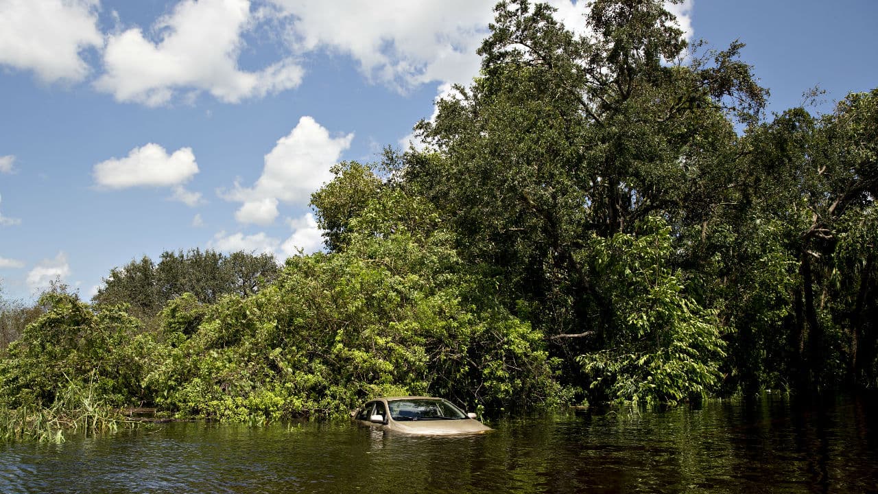 Este auto quedó hundido casi en su totalidad al quedar varado en el camino de Buckingham, Florida. El nivel del agua, casi
<b> cubriendo el cofre, provocó qu</b>e este auto fuera considerado pérdida total.