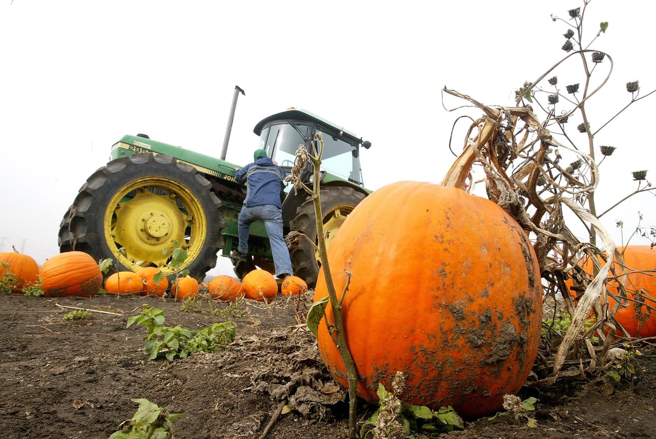 Apple Ridge Orchards, Warwick, NY. Teléfono: 845-987-7717