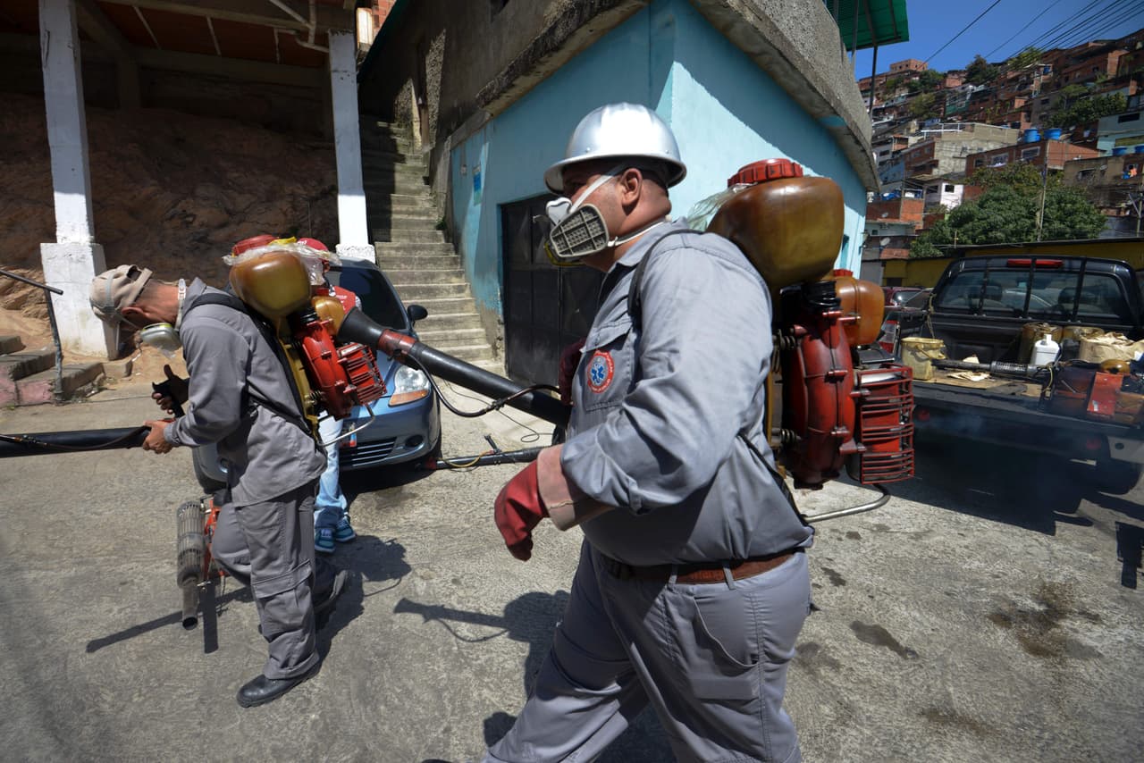 Venezuela: confirman tres muertes atribuidas al zika