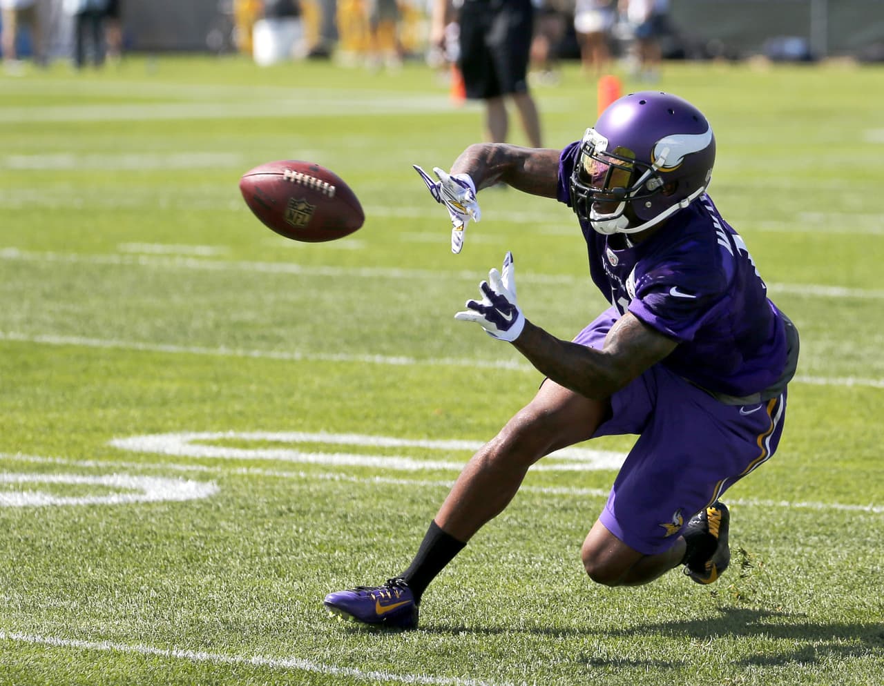 Mike Wallace: "Definitivamente tengo mucho que demostrar" con los Vikings