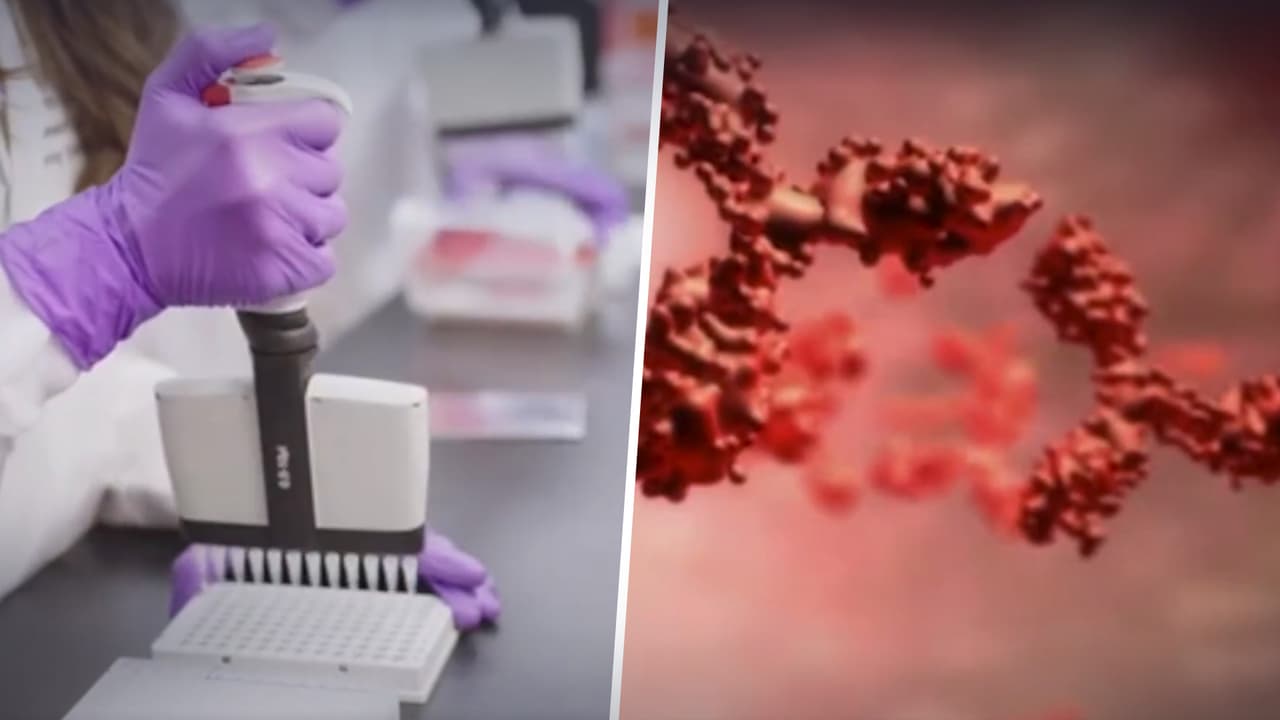 El condado de Harris anunció que el nivel de contagio comunitario de coronavirus está ahora en "verde", por lo que uno de los precursores de la lucha contra la enfermedad, el 
<b><a href="https://www.univision.com/local/houston-kxln/joseph-varon-heroe-lucha-pandemia-covid-19" target="_blank">Dr. Joseph Varón</a></b> hace un llamado a los residentes para que no bajen la guardia a pesar de las buenas noticias.