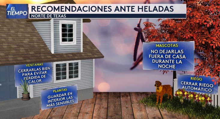 <b>¡Cuidemos a nuestras mascotas y plantas!</b> Sigue estas recomendaciones para protegerlas durante los días y noches de bajas temperaturas.