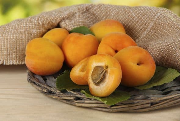 Portavasos ‘cool’. Nada como unas hojas grandes recién cortadas para colocar las bebidas sobre la mesa o apoyar las frutas. Córtalas temprano y ponlas en agua inmediatamente. Mantenlas hidratadas en un recipiente hasta que sea hora de llevarlas a la mesa.