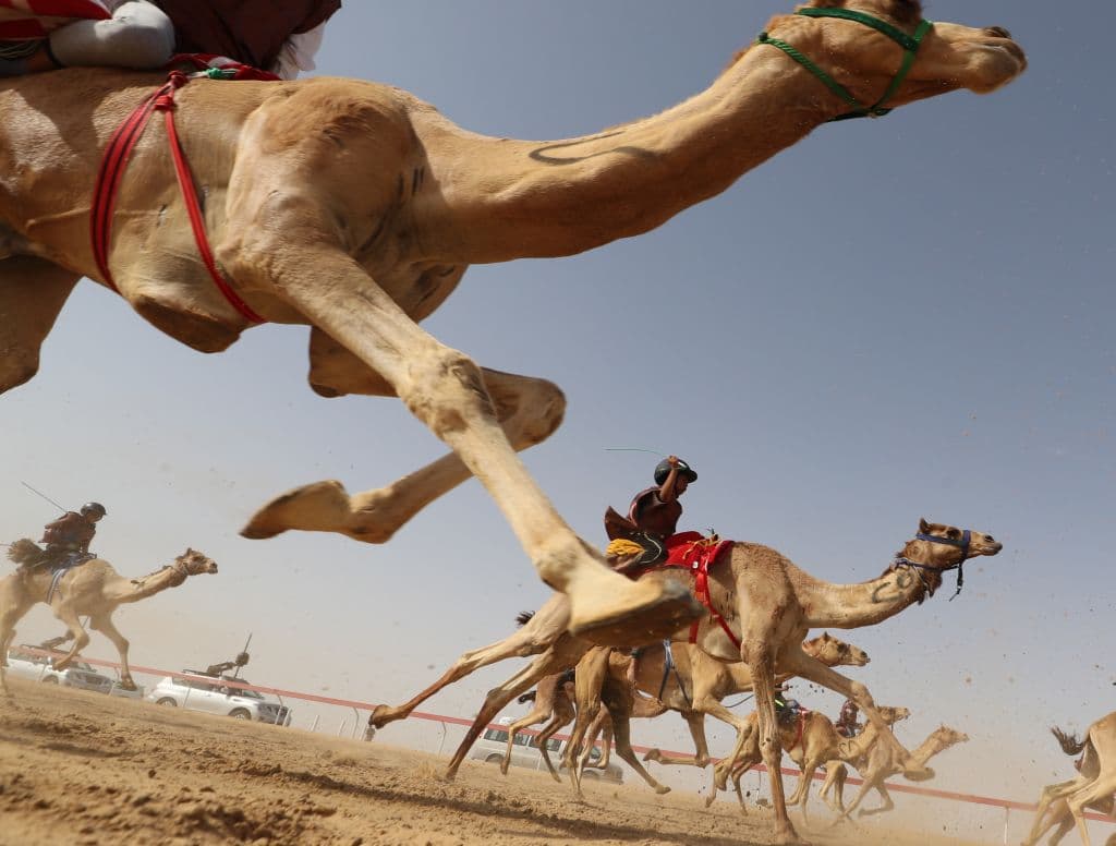 En Sweihan, Emiratos Árabes Unidos, es insoportable incluso salir al aire libre para realizar trabajos esenciales. Los termómetros llegan a
<b>marcar hasta 125ºF (51.8ºC)</b>. Las temperaturas medias en los Emiratos Árabes Unidos son más altas que hace 60 años.