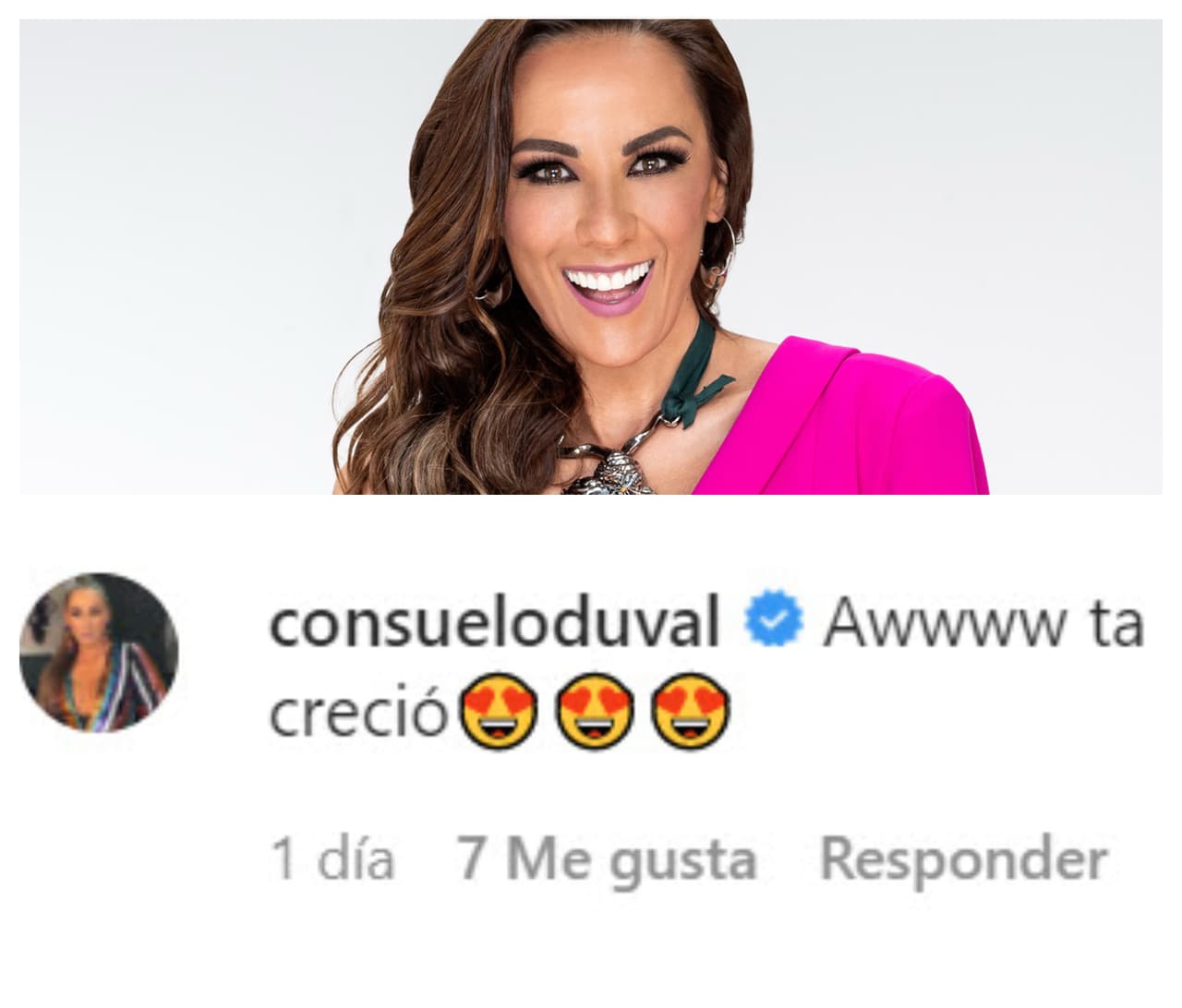 Una de ellas fue 
<b>Consuelo Duval</b>, quien no reprimió su reacción al ver cómo ha pasado el tiempo en Elisa. 
<br>