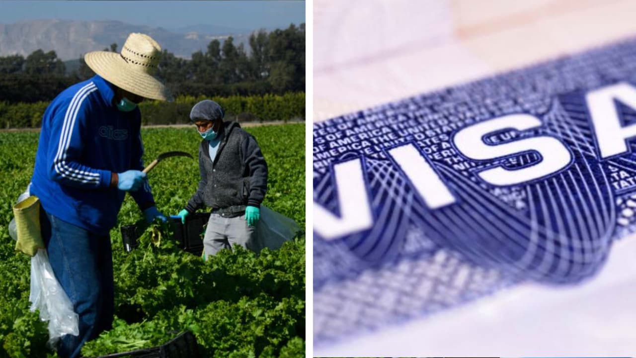 Trabajadores del campo reciben $ 120,000 al ganarle demanda a su empleador en Carolina del Norte