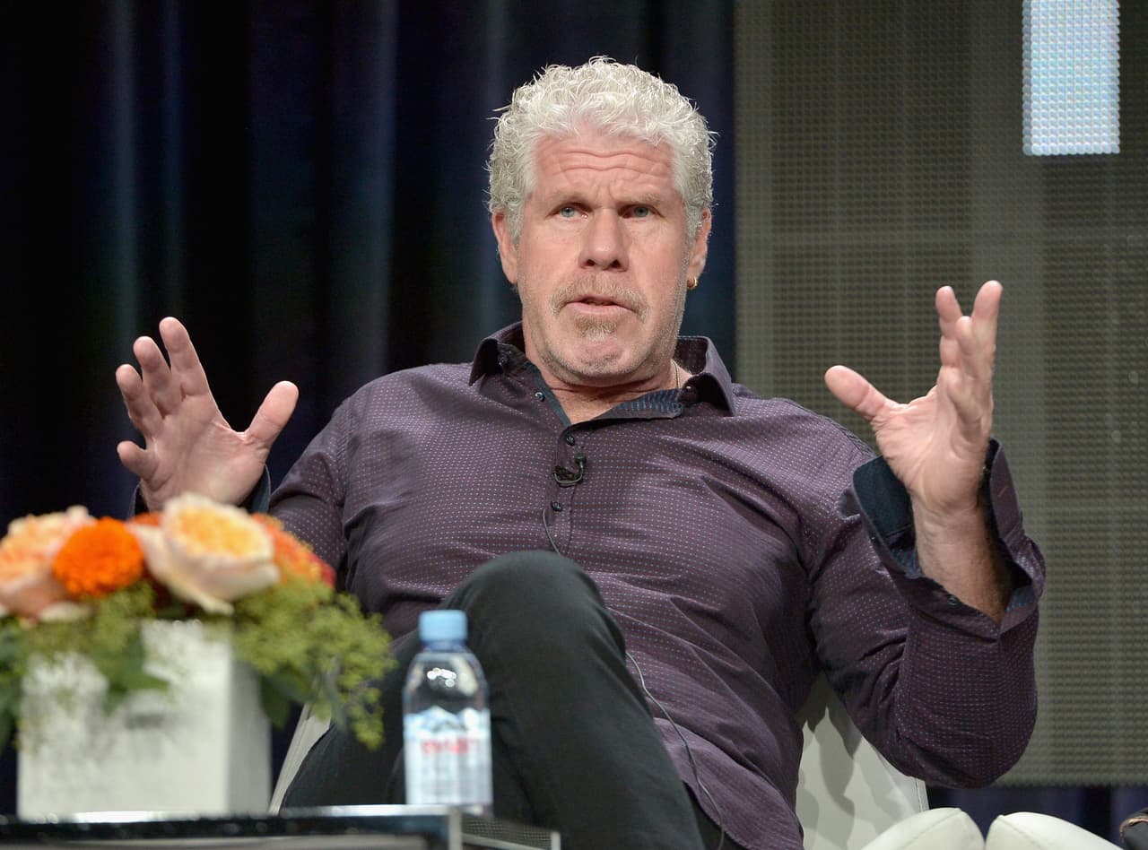 El actor Ron Perlman dijo vía Facebook que sería candidato a la presidencia en 2020, tras la victoria de Donald Trump en noviembre. "Estoy usando mi inmensa presencia en Facebook para anunciar mi candidatura para presidente de Estados Unidos, 2020",
<b><a href="http://www.businessinsider.com/actor-ron-perlman-says-hes-running-for-president-in-2020-2016-11" target="_blank">escribió en la red social</a></b>. Al 'anunciar' sus planes dijo que él haría "grandioso a EEUU de nuevo. Otra vez".