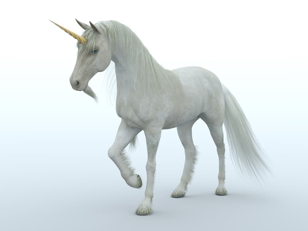 Del tamaño del rinoceronte blanco actual, el elasmoterio era considerablemente más esbelto y con las patas más alargadas y elegantes. Asimismo, su cuerno era bastante más largo que el de los rinocerontes actuales, llegando a medir hasta dos metros. Pero su existencia se fue tergiversando hasta crear el mítico animal que hasta hoy se representa como el unicornio.