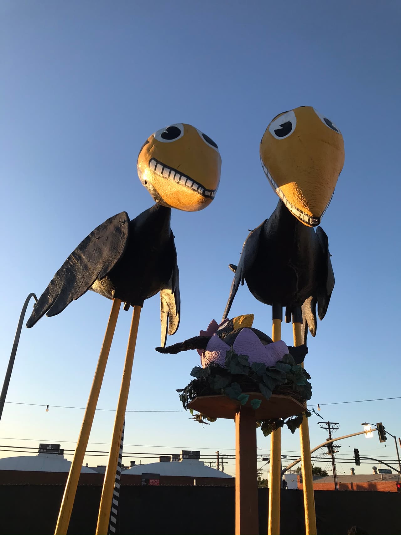 ¡Cuidado con los cuervos gigantes! Aunque muy sonrientes están cuidando a su cria, así que no te acerques mucho.