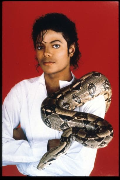 Michael Jackson El caso del cantante se sigue debatiendo hasta la fecha en los juzgados.