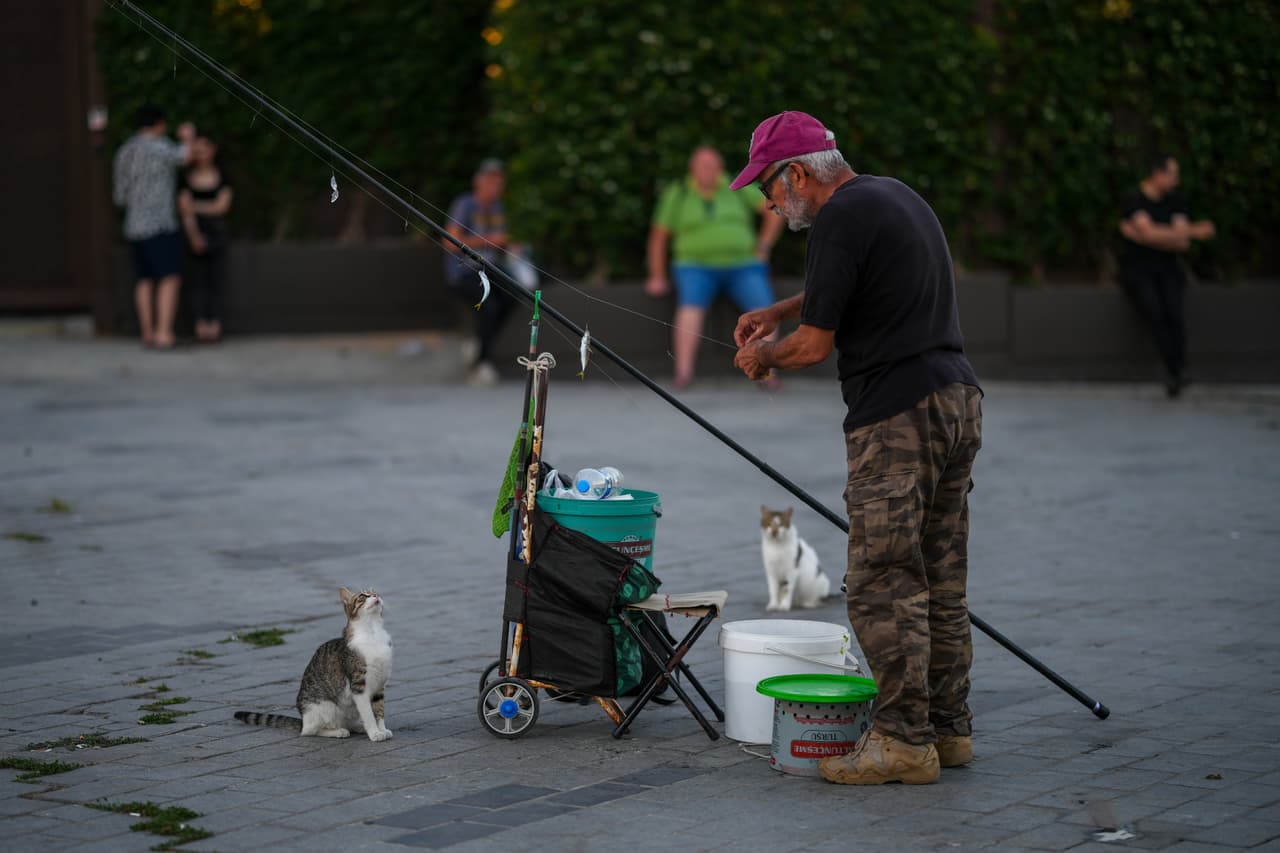Gatos callejeros esperan junto a un pescador en el paseo marítimo de Karakoy, en Estambul, Turquía, el miércoles 24 de junio de 2026. (Foto AP/Emrah Gurel)