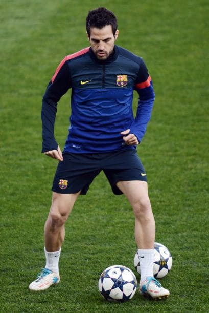 Sin duda, otra familia que conquistará brasil desde su llegada.