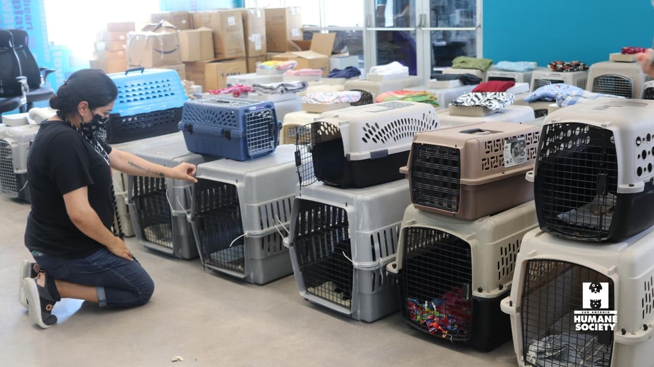 El
<a href="https://www.univision.com/temas/huracan-laura">huracán Laura</a> tocó tierra alrededor de la 1:00 am de este jueves
<b>cerca de Cameron, Luisiana</b>, una zona cercana a la frontera con Texas, y a donde se podrá volver hasta el sábado para evaluar daños.