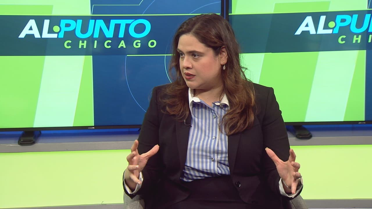 Exjueza de inmigración en Chicago demanda al Gobierno federal y denuncia presiones internas en las cortes