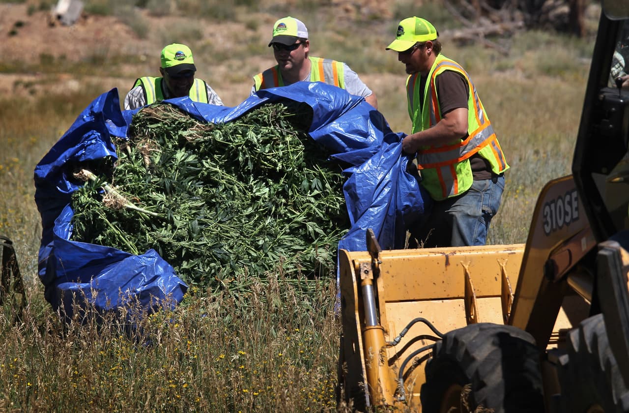 La DEA busca contratista que queme marihuana decomisada y llueven personas que se ofrecen a hacerlo (hasta gratis)
