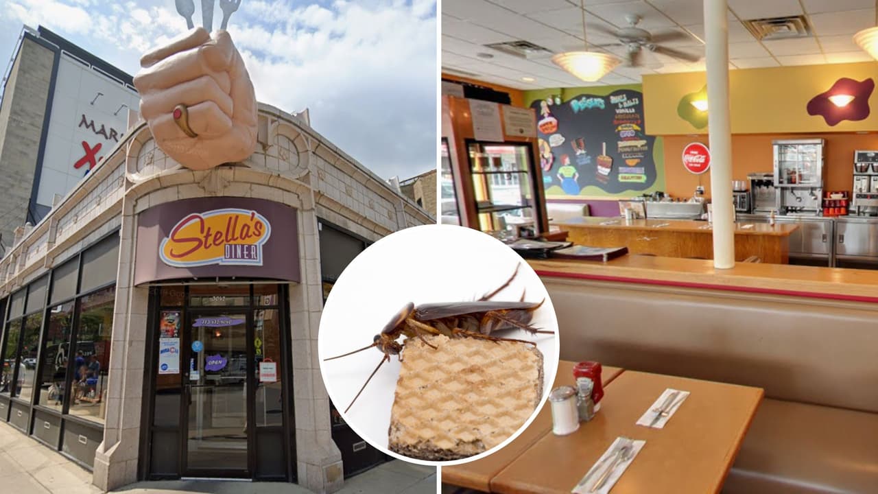 Chicago cierra Stella’s Diner: hallan decenas de cucarachas y fallas sanitarias graves
