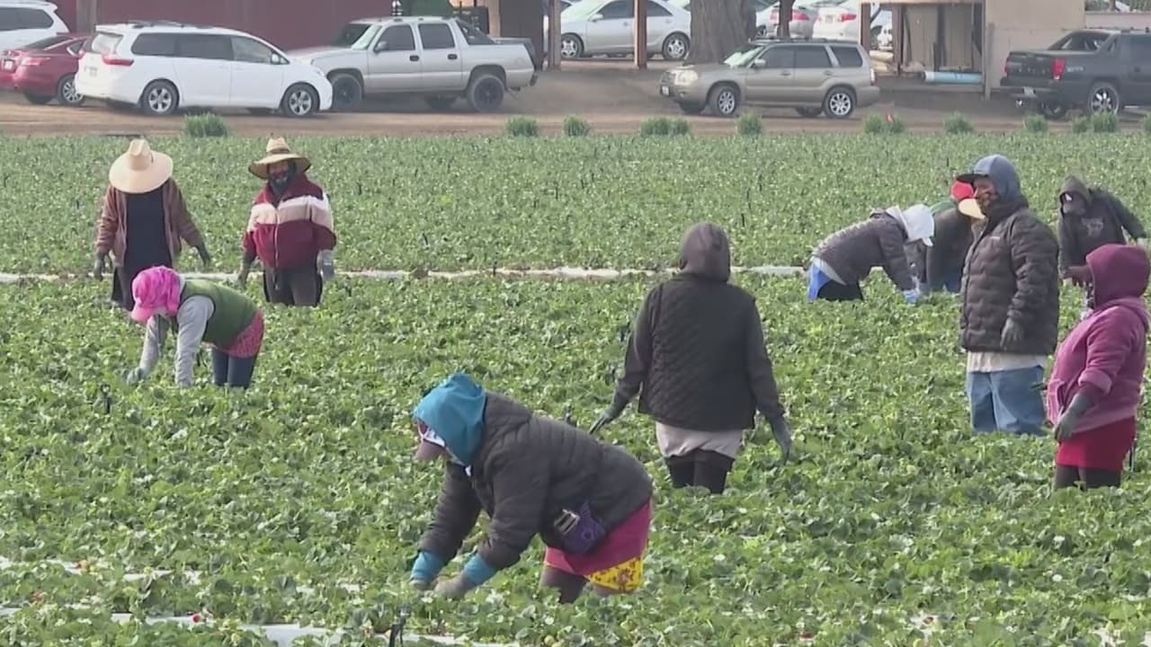 Más del 40% de los trabajadores en el condado de Los Ángeles son inmigrantes, según estudio