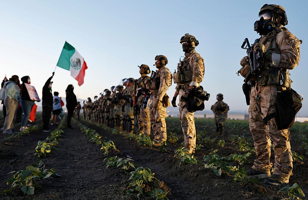 Redadas en granjas de California: denuncian que hay trabajadores heridos y "desaparecidos"| ICE asegura que recibió disparos