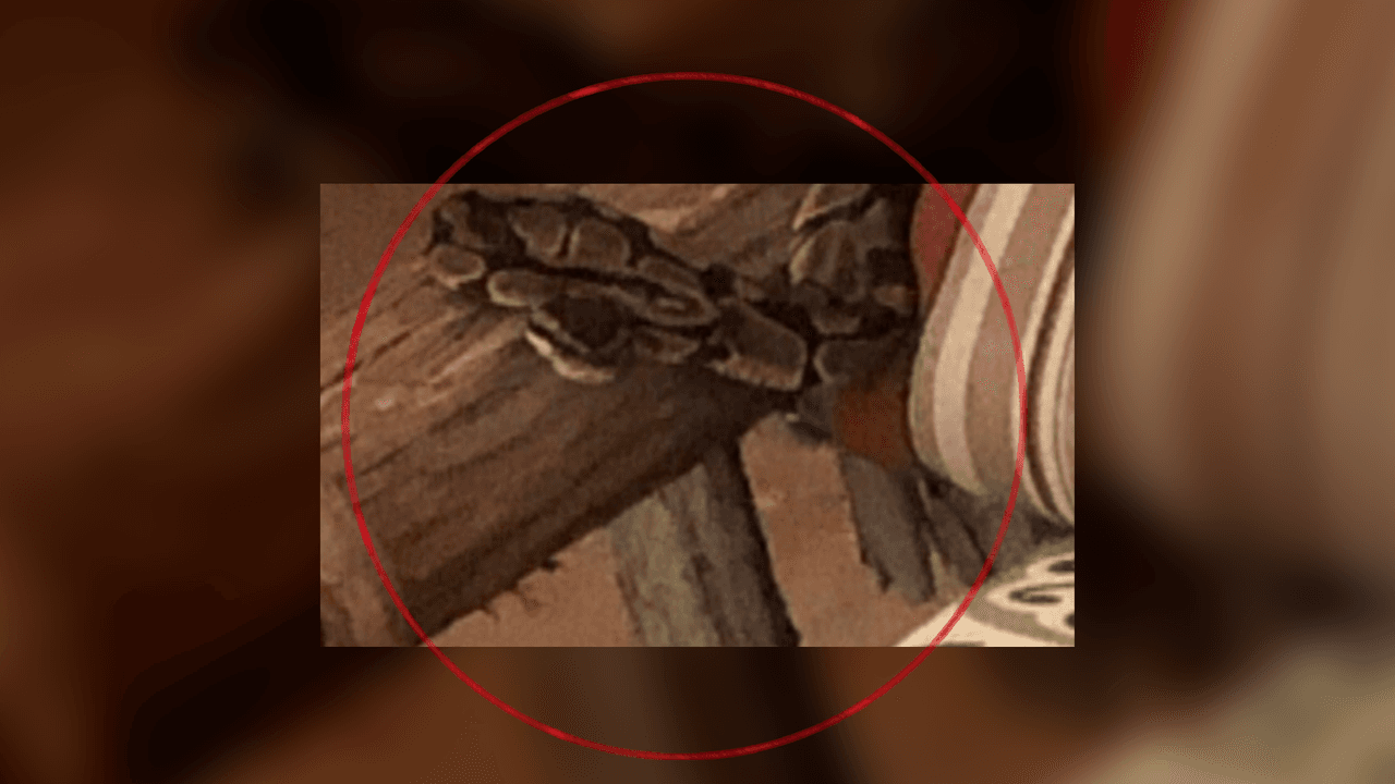 Hallan una serpiente Pitón Birmana en el patio de una casa en Marietta