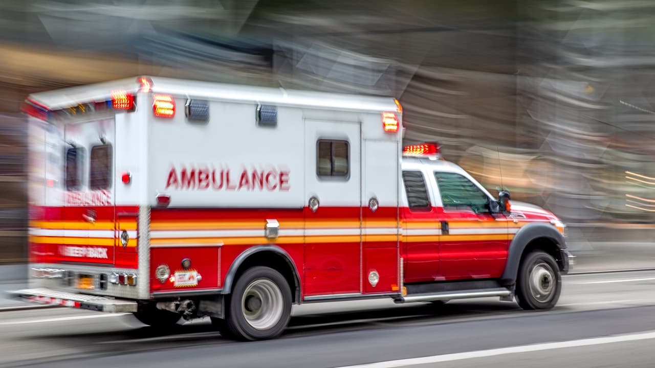 Hombre muere al ser atacado por tres perros pit bull en Newark