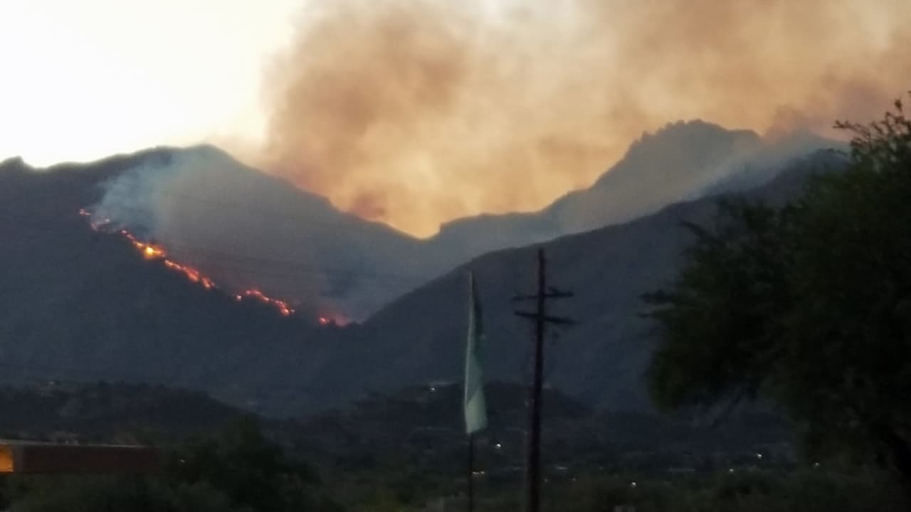 Desde Tucson se observa como las llamas consumen el área de Mt. Lemmon.