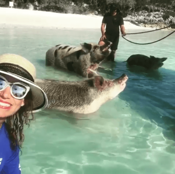 Pig Island está situada en el archipiélago de Las Bahamas de Exuma, en la isla de Big Major Cay.